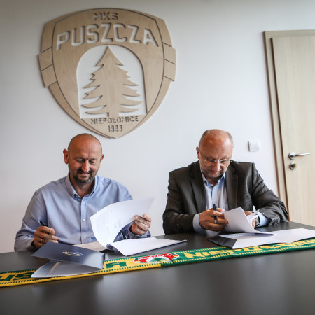 Tytuł zastępczy